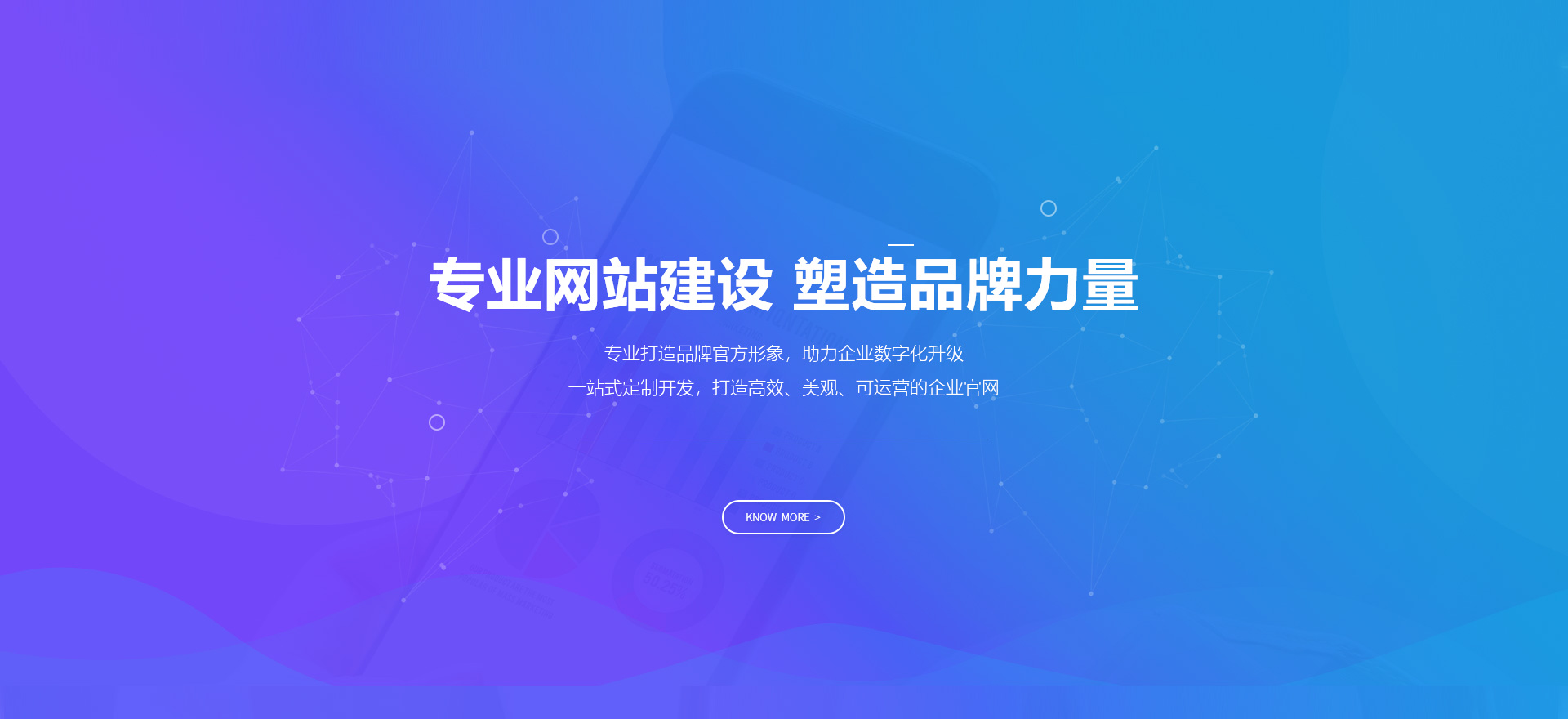 汉寿建站-专业网站建设 塑造品牌力量