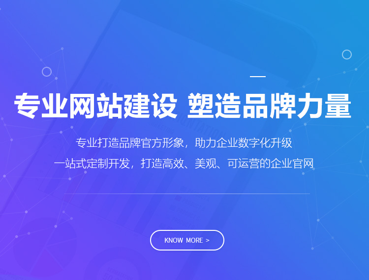 汉寿建站-专业网站建设 塑造品牌力量